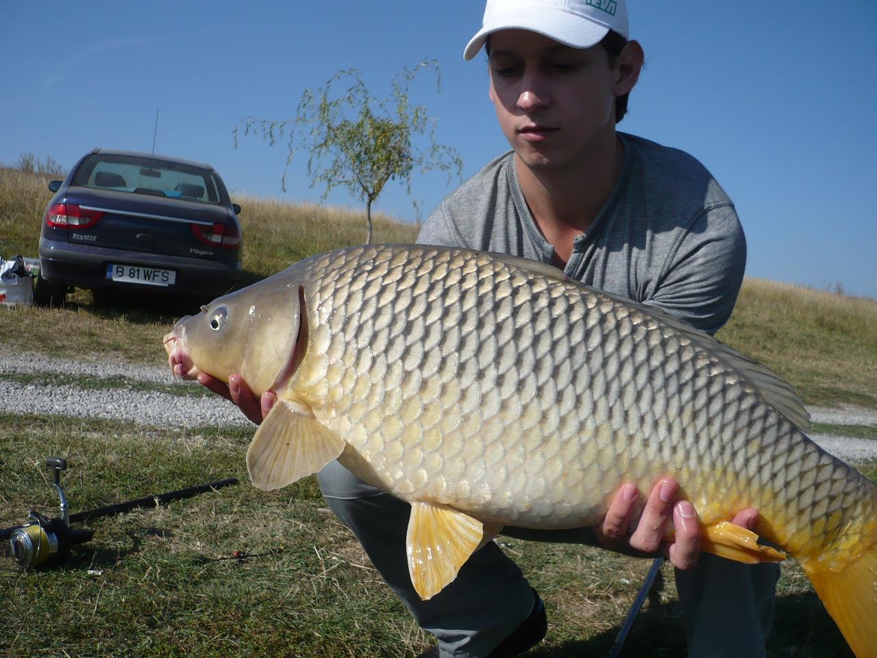 MV 2 - 19 SEPT 2014 - p1020860.JPG